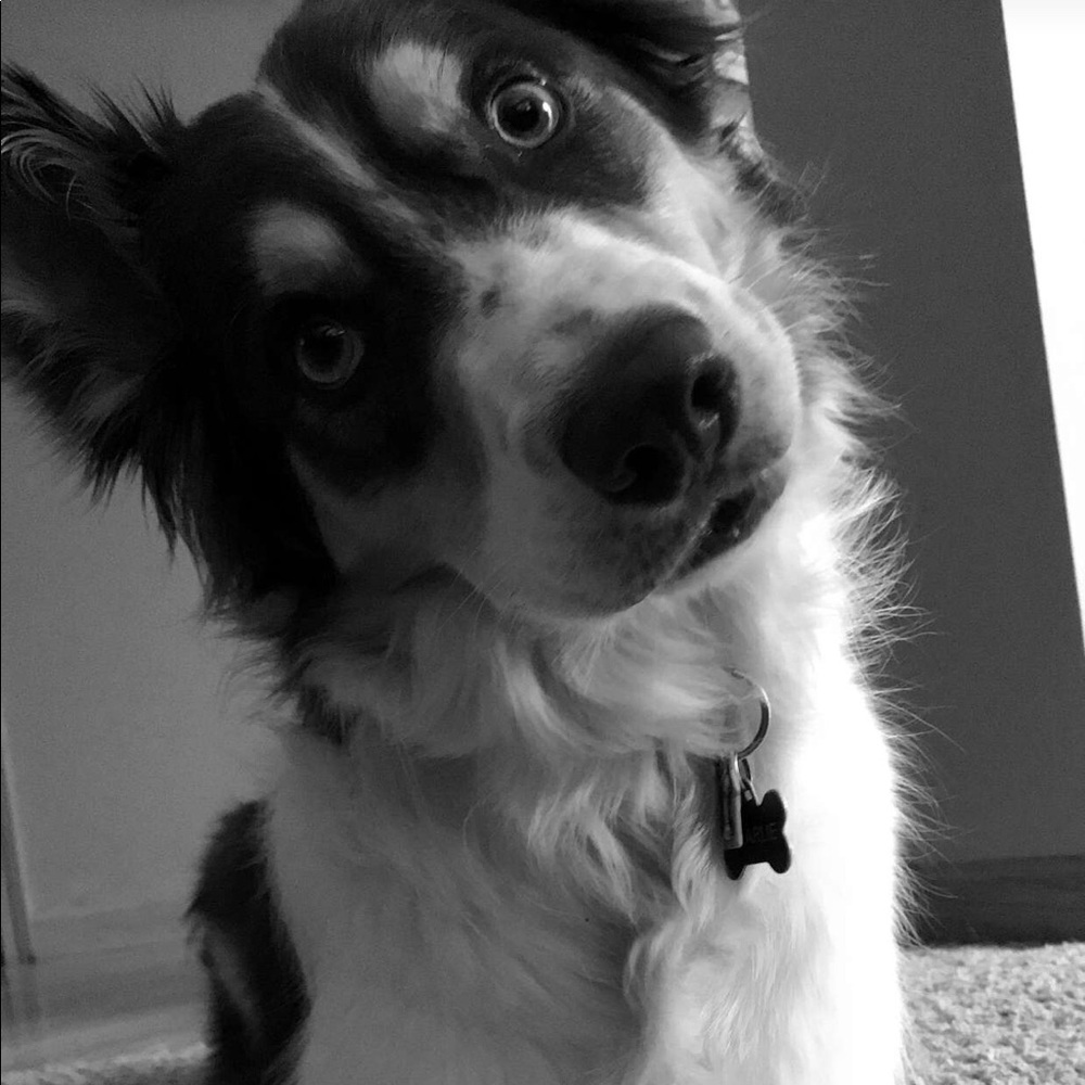 Meet your Posher, Chris